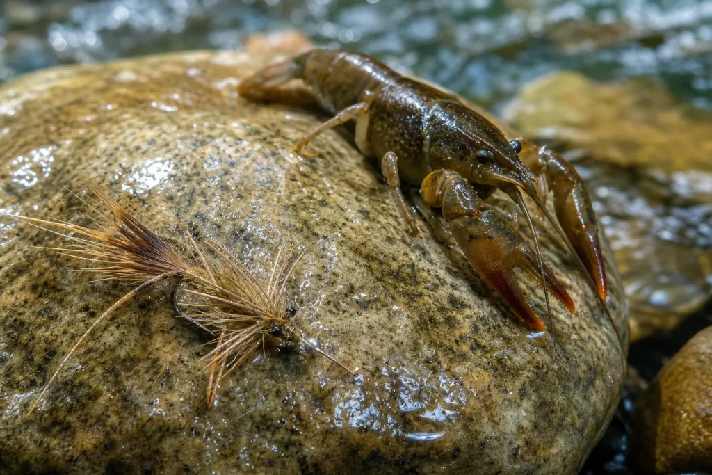 Fly angler wading in a clear river casting upstream toward a deep trout holding area