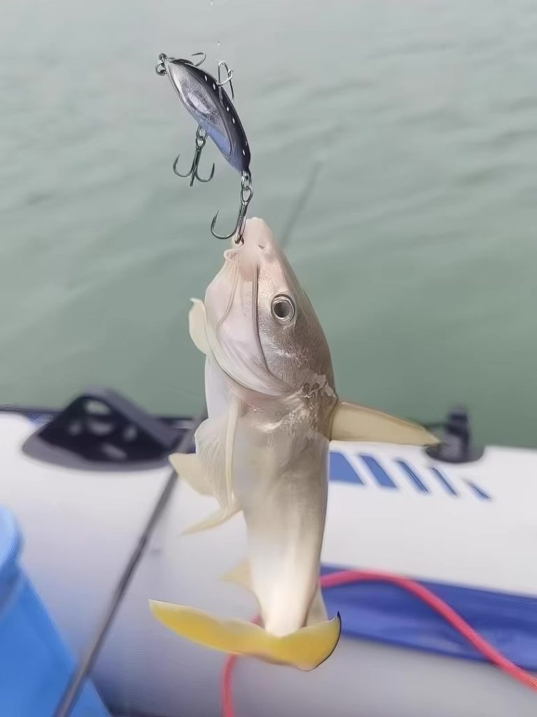 Mussel VIB fishing lure catching predator fish during freshwater fishing