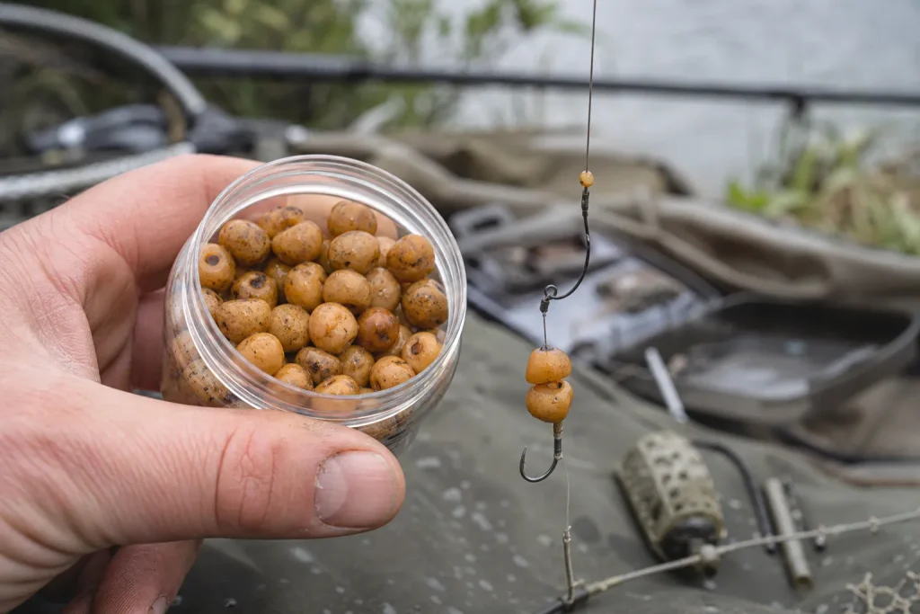 Tiger nuts beside a carp hair rig for freshwater carp fishing